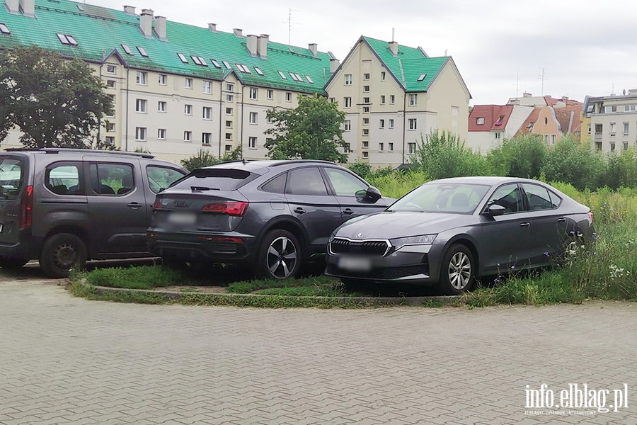 Mistrzowie Parkowania w Elbl�gu (cz�� 495), fot. 11