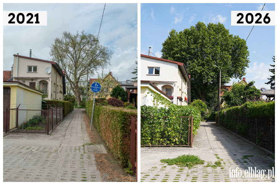 Odwiedzamy elbl�skie ulice cz.2 - ulica Bosma�ska , fot. 4