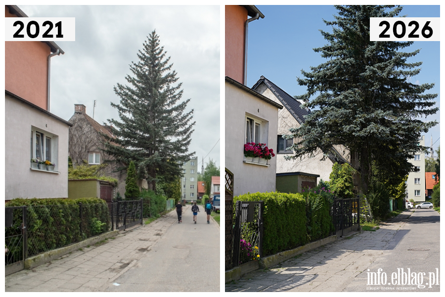 Odwiedzamy elbl�skie ulice cz.2 - ulica Bosma�ska , fot. 13