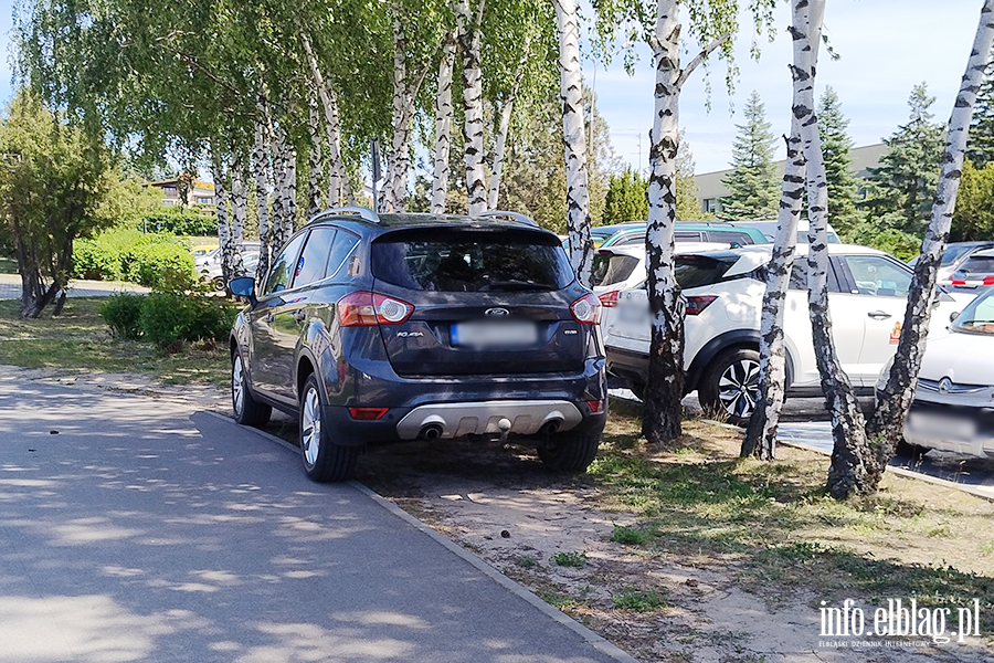 Mistrzowie Parkowania w Elbl�gu (cz�� 496), fot. 2