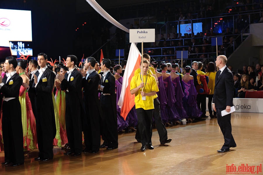 Mistrzostwa Świata Formacji Standardowych 2010 - finał, fot. 36