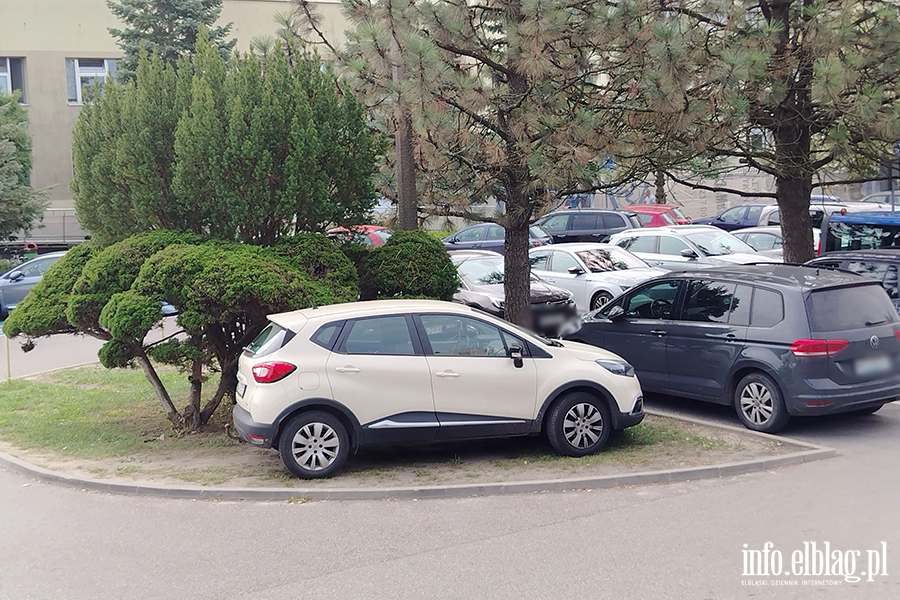 Mistrzowie Parkowania w Elbl�gu (cz�� 500), fot. 8