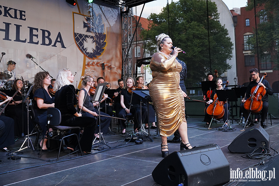 Muzyczna wizyta w latach 90. Koncert Morningstar i EOK, fot. 50