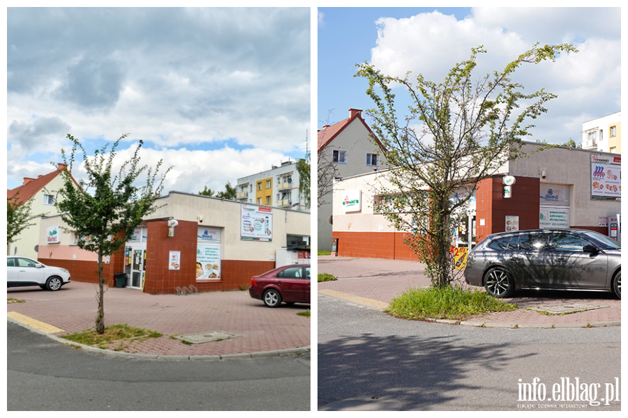 Odwiedzamy elbl�skie ulice cz.2 - Marii Sk�odowskiej-Curie, fot. 16