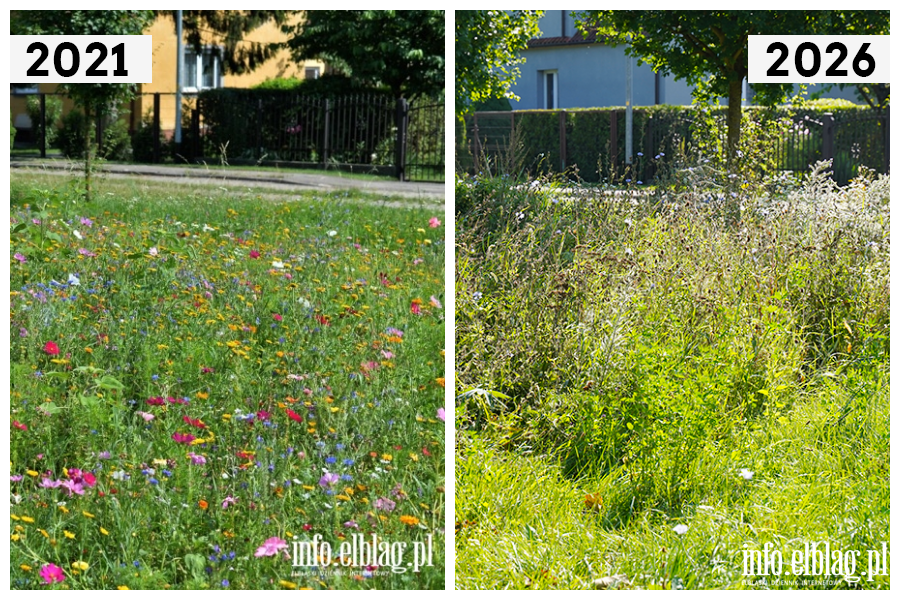 Odwiedzamy elbl�skie ulice cz.2 - Jana Kili�skiego , fot. 15