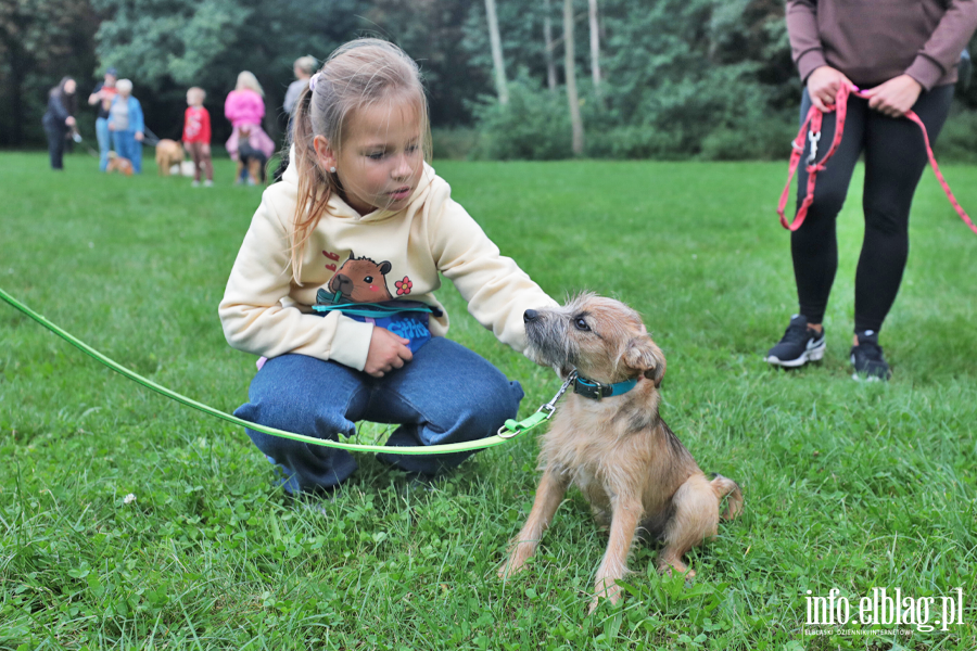 Bieg na 6 �ap. Wsp�lnie przemierzali Ba�antarni� (zobacz zdj�cia!), fot. 6