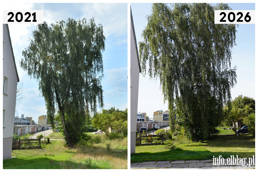 Odwiedzamy elbl�skie ulice cz.2 - Poprzeczna , fot. 27