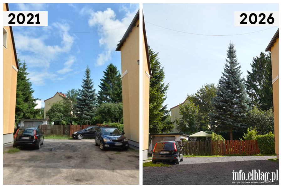 Odwiedzamy elbl�skie ulice cz.2 - Okrzei , fot. 15