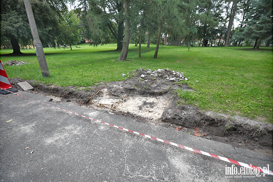 Elbl��anie zadecyduj�, czy Park Modrzewie przejdzie modernizacj�. Inwestycj� wyceniono na 770 tys. z�, fot. 7