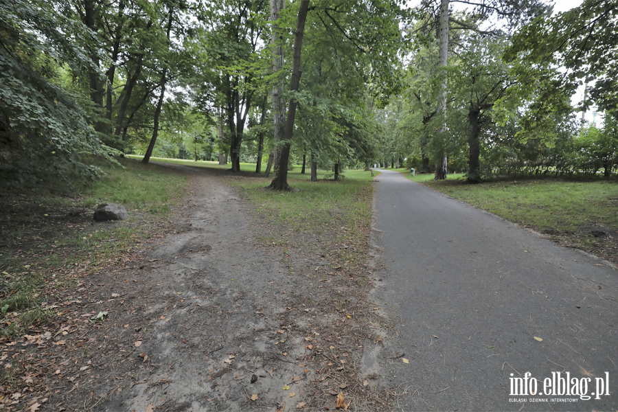 Elbl��anie zadecyduj�, czy Park Modrzewie przejdzie modernizacj�. Inwestycj� wyceniono na 770 tys. z�, fot. 13