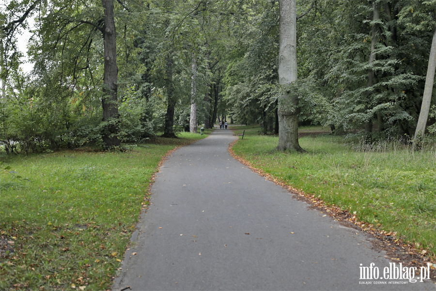 Elbl��anie zadecyduj�, czy Park Modrzewie przejdzie modernizacj�. Inwestycj� wyceniono na 770 tys. z�, fot. 15