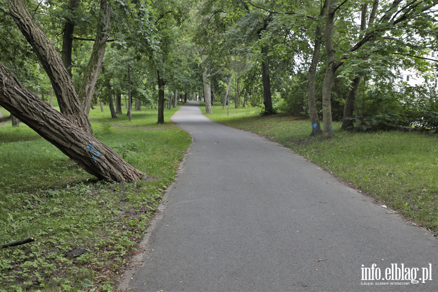 Elbl��anie zadecyduj�, czy Park Modrzewie przejdzie modernizacj�. Inwestycj� wyceniono na 770 tys. z�, fot. 17