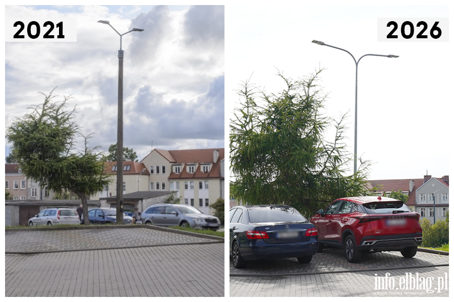 Odwiedzamy elbl�skie ulice cz. 2 - R�ana, fot. 14