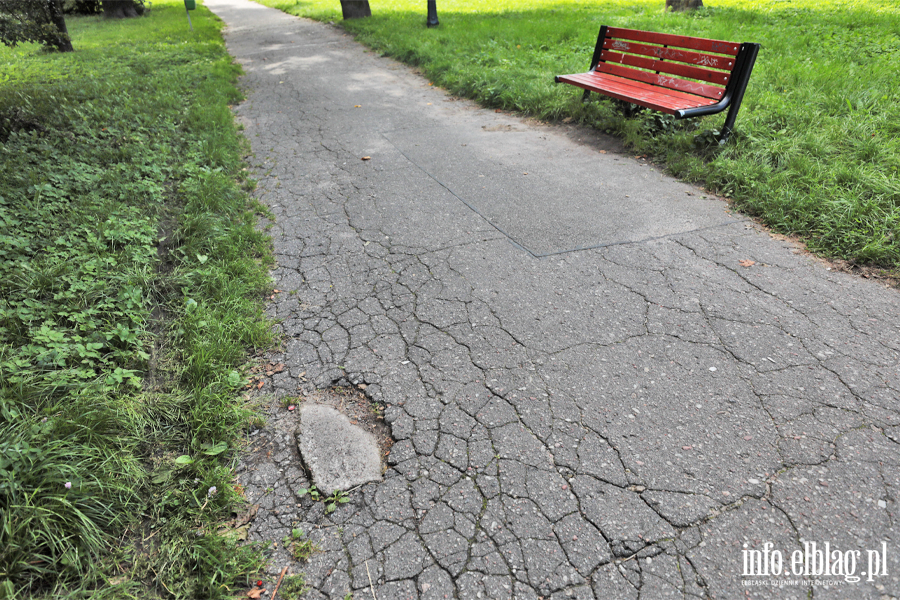 Park Oliwski, fot. 3