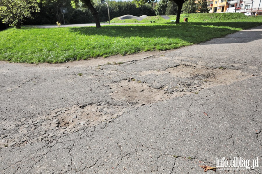 Park Oliwski, fot. 14