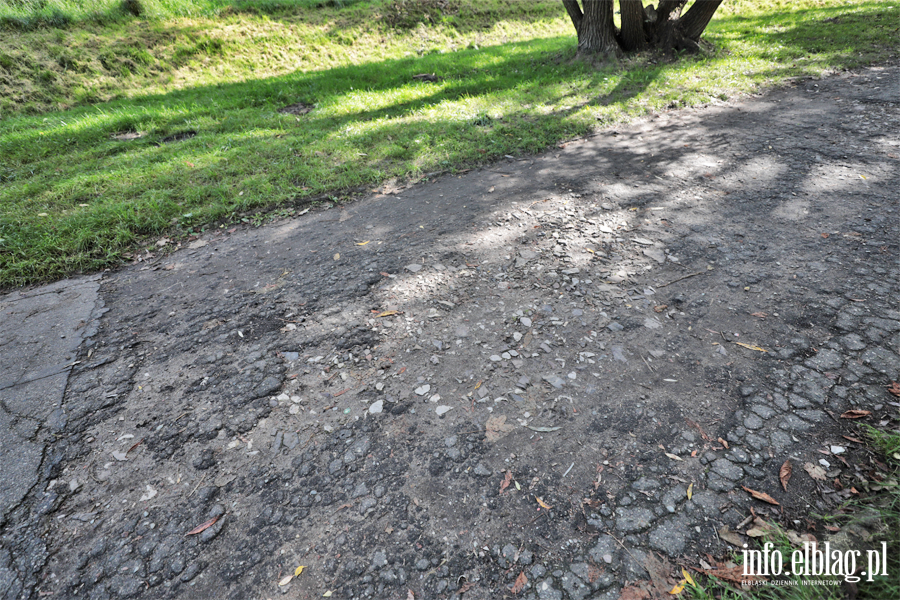 Park Oliwski, fot. 23