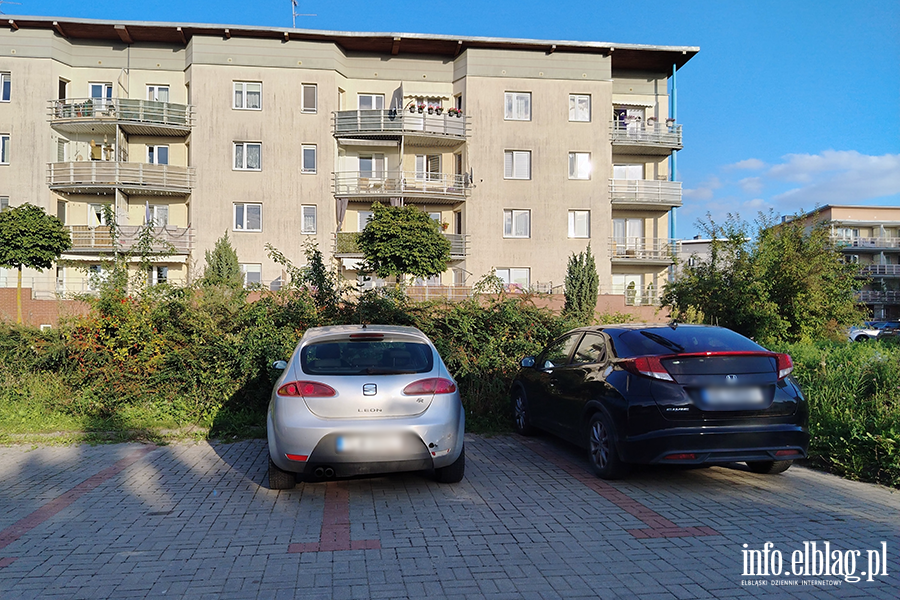 Mistrzowie Parkowania w Elbl�gu (cz�� 507), fot. 8