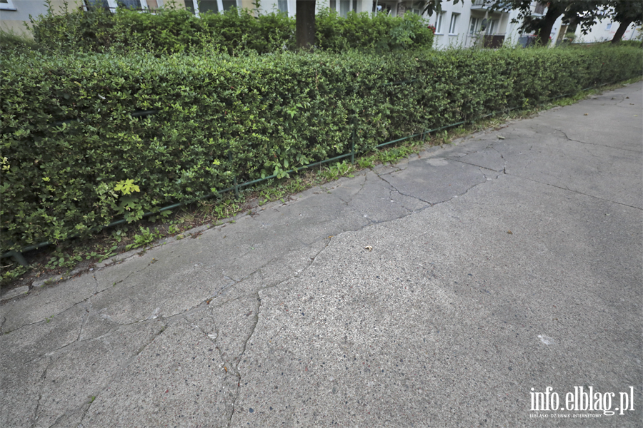 Okrzei z Daszy�skiego, fot. 9