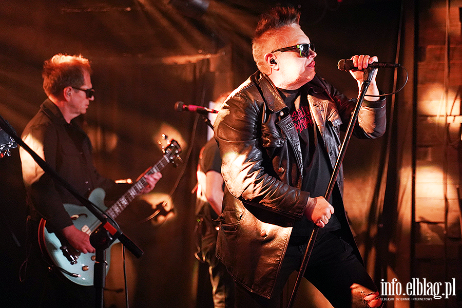 Koncert T Love, fot. 1