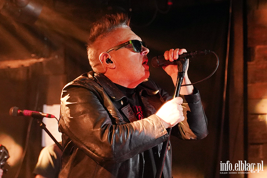 Koncert T Love, fot. 2