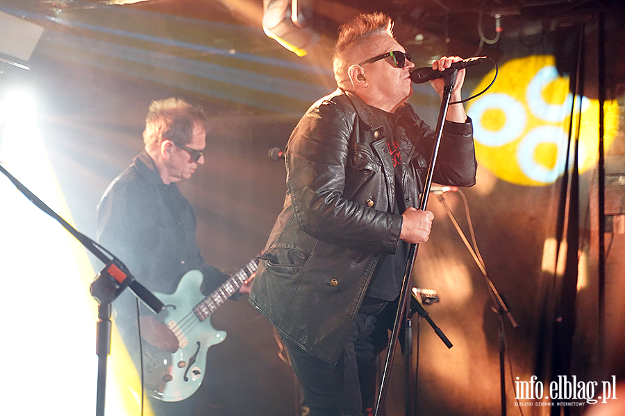 Koncert T Love, fot. 8