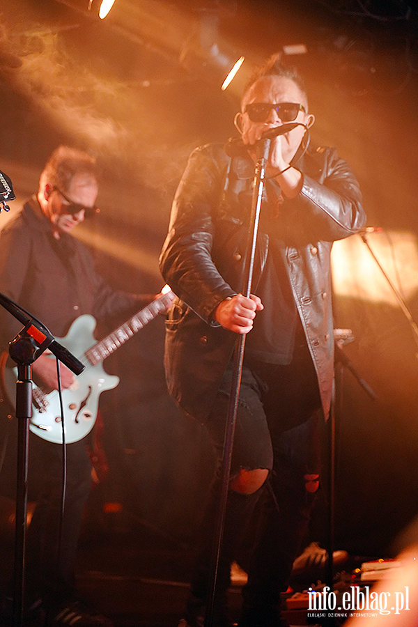 Koncert T Love, fot. 9