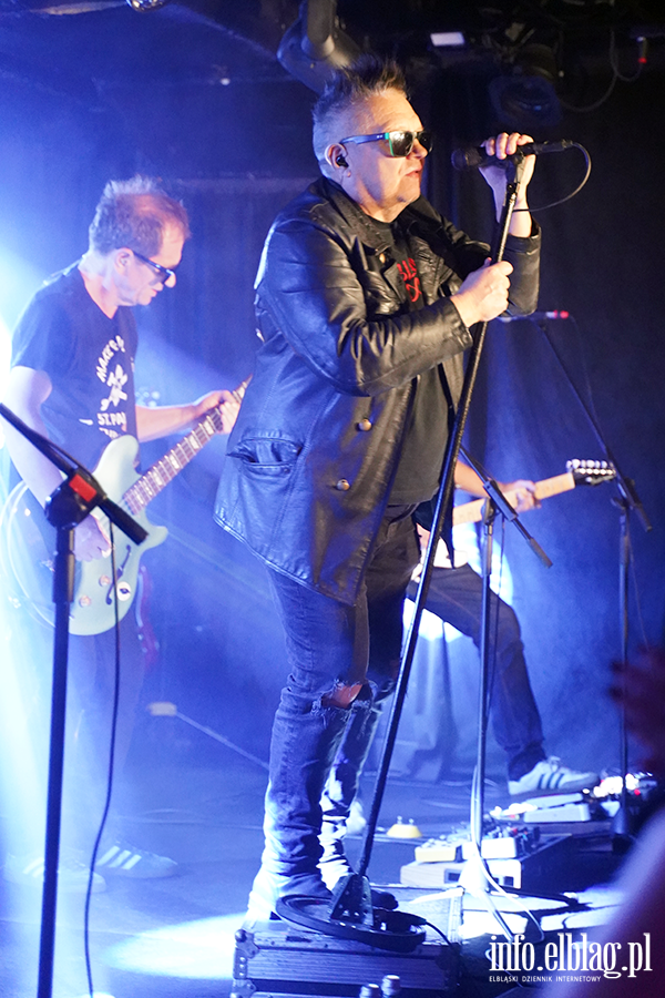Koncert T Love, fot. 10