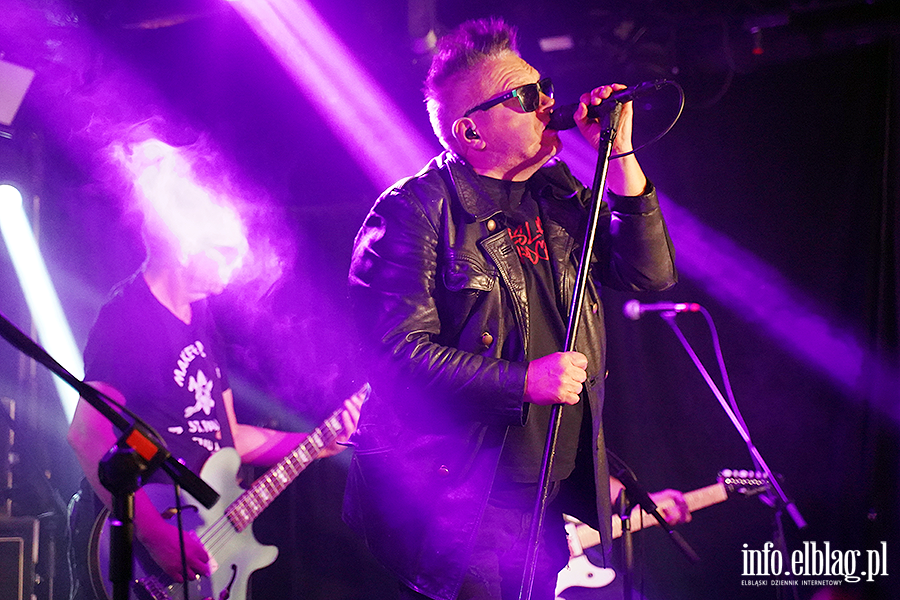 Koncert T Love, fot. 11