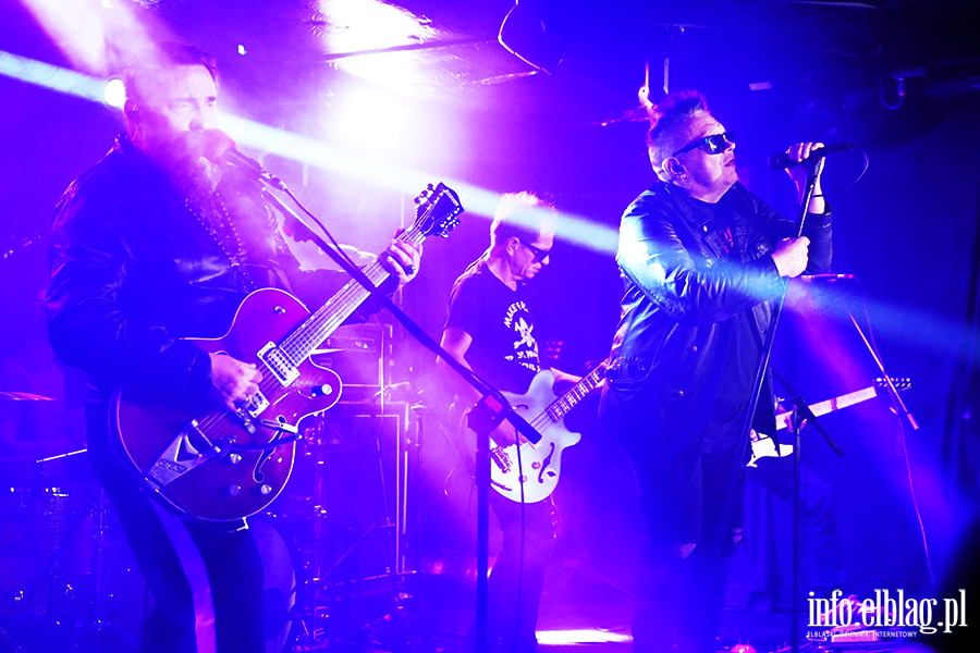 Koncert T Love, fot. 15