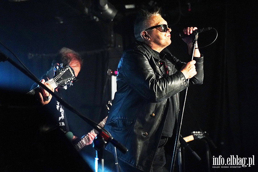 Koncert T Love, fot. 17
