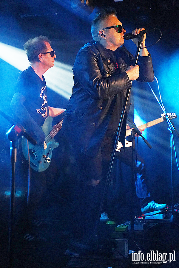 Koncert T Love, fot. 19