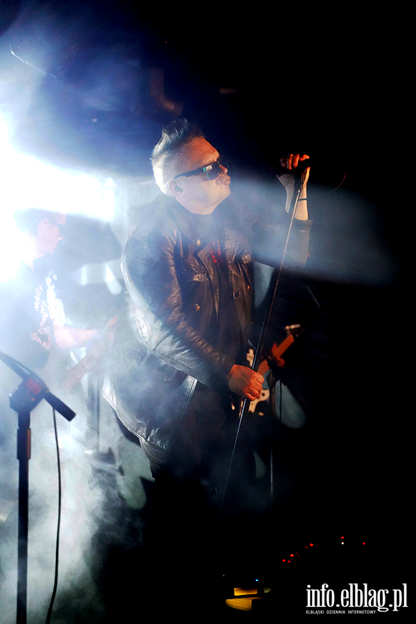 Koncert T Love, fot. 23