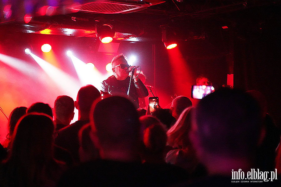 Koncert T Love, fot. 24