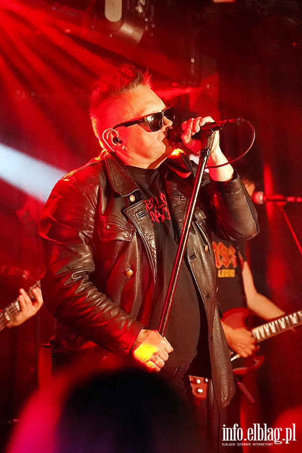 Koncert T Love, fot. 26