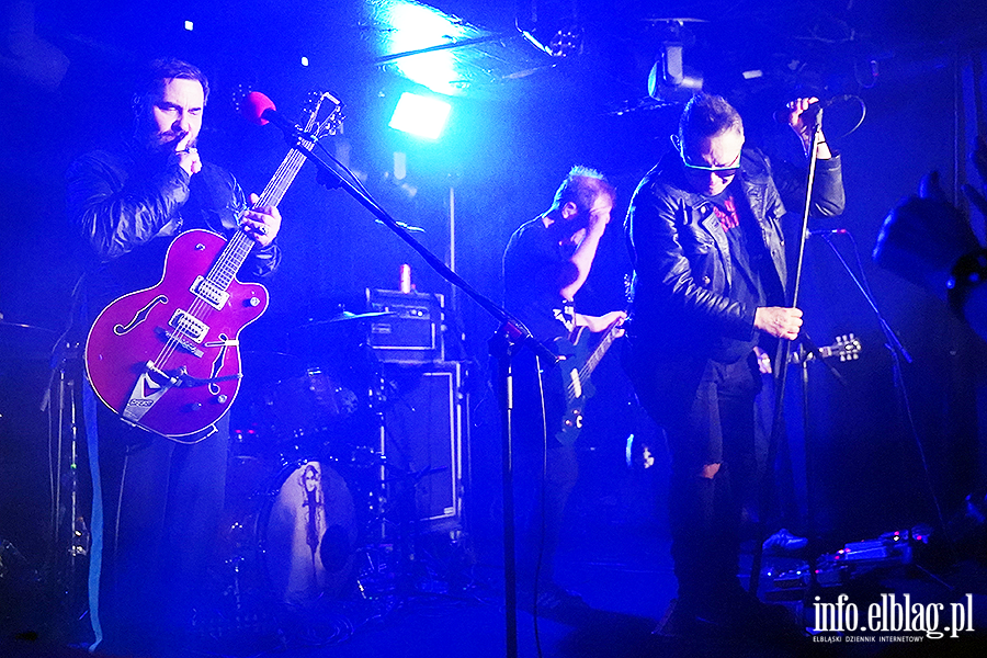 Koncert T Love, fot. 27