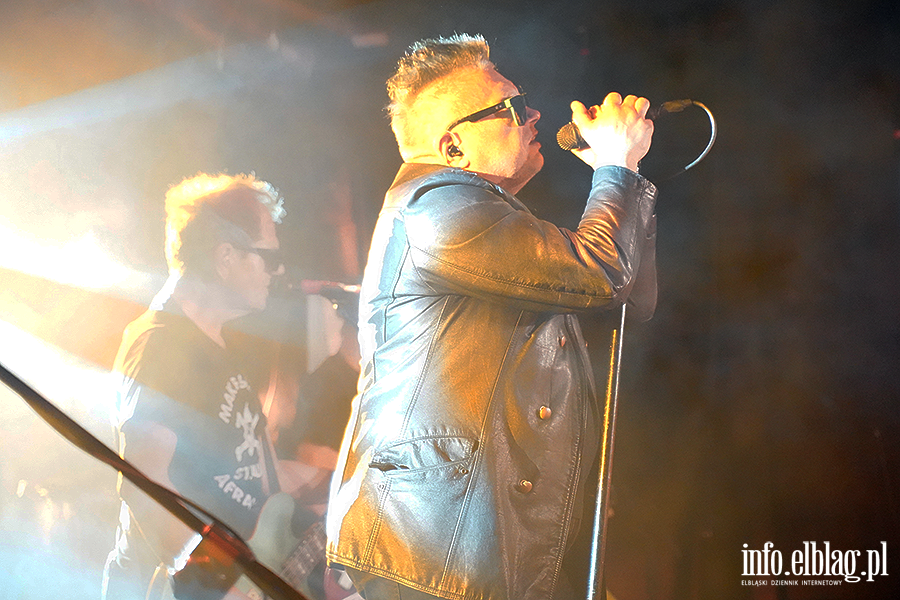Koncert T Love, fot. 28