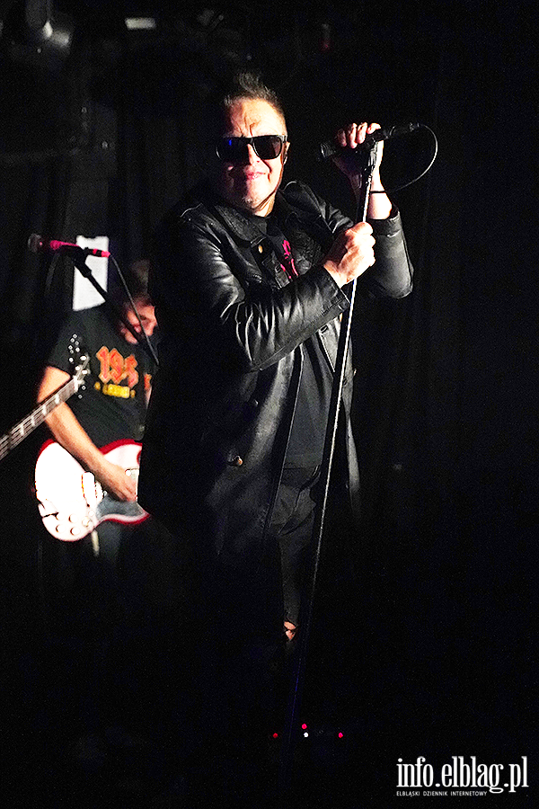 Koncert T Love, fot. 29