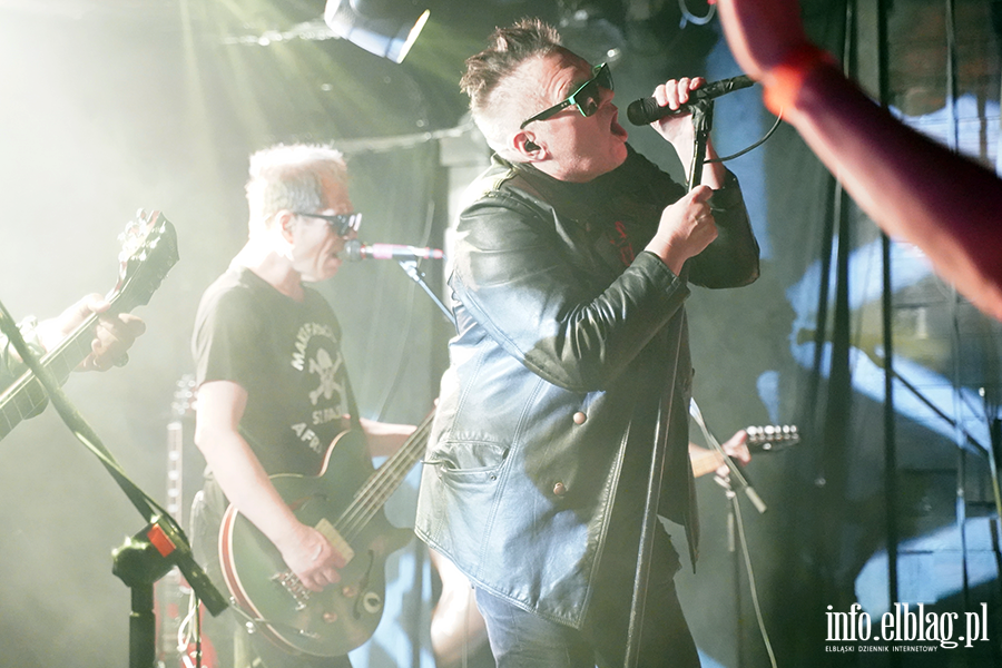 Koncert T Love, fot. 32