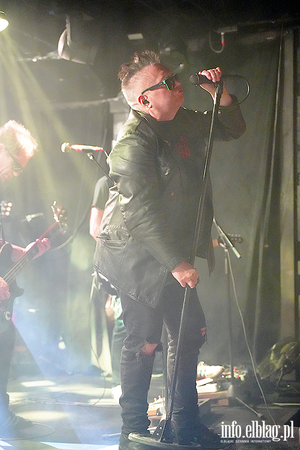 Koncert T Love, fot. 33