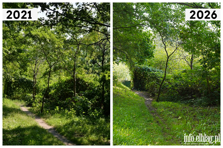 Odwiedzamy elbl�skie ulice cz.2 - Oliwska, fot. 17