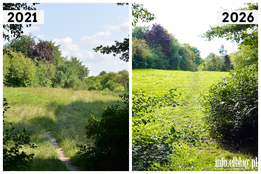 Odwiedzamy elbl�skie ulice cz.2 - Oliwska, fot. 19