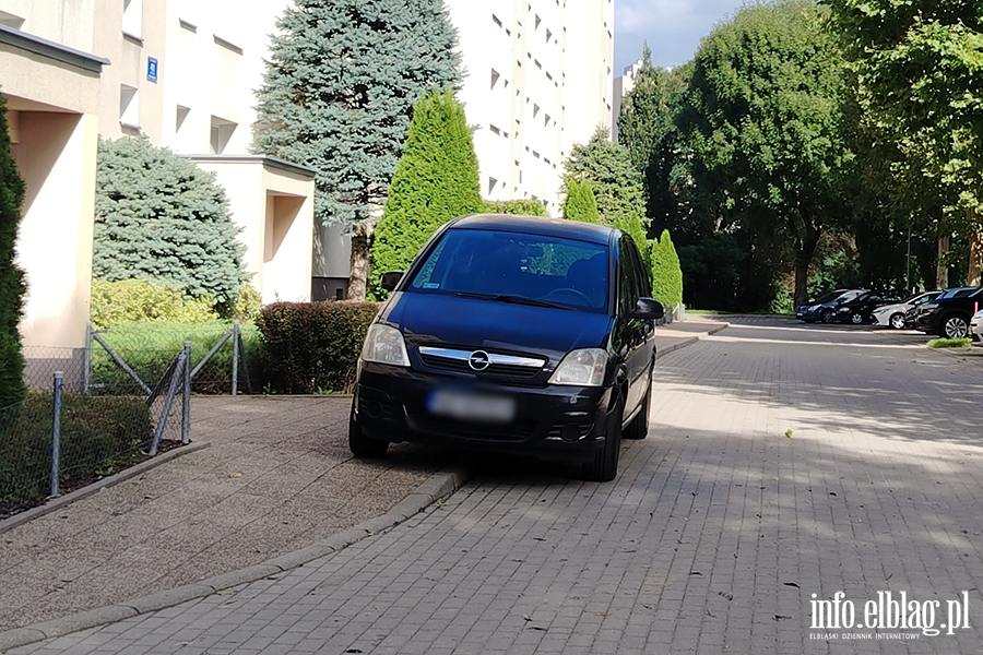 Mistrzowie Parkowania w Elbl�gu (cz�� 508), fot. 11