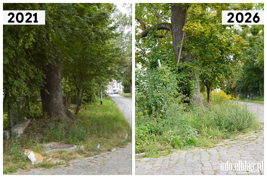 Odwiedzamy elbl�skie ulice cz.2 - Kupiecka, fot. 6