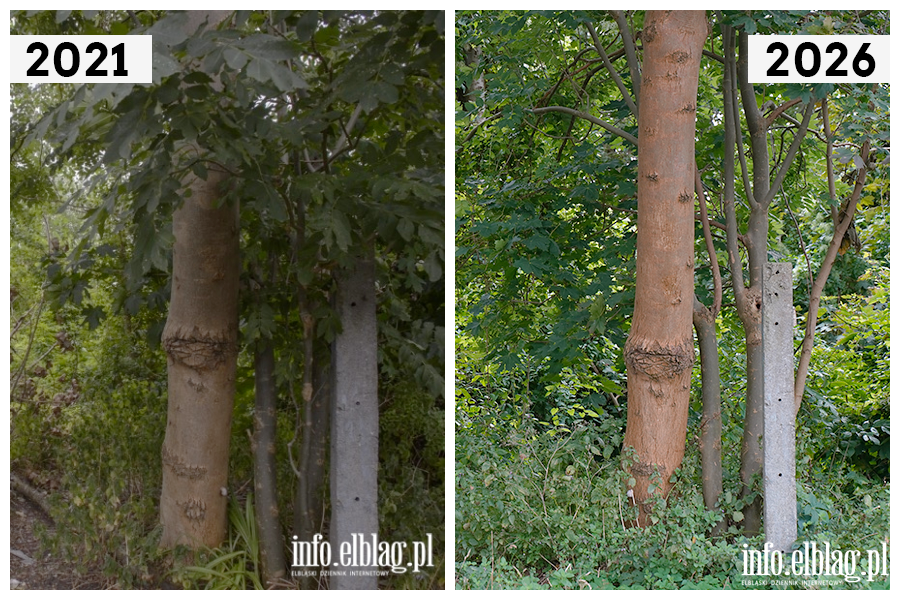 Odwiedzamy elbl�skie ulice cz.2 - Kupiecka, fot. 9