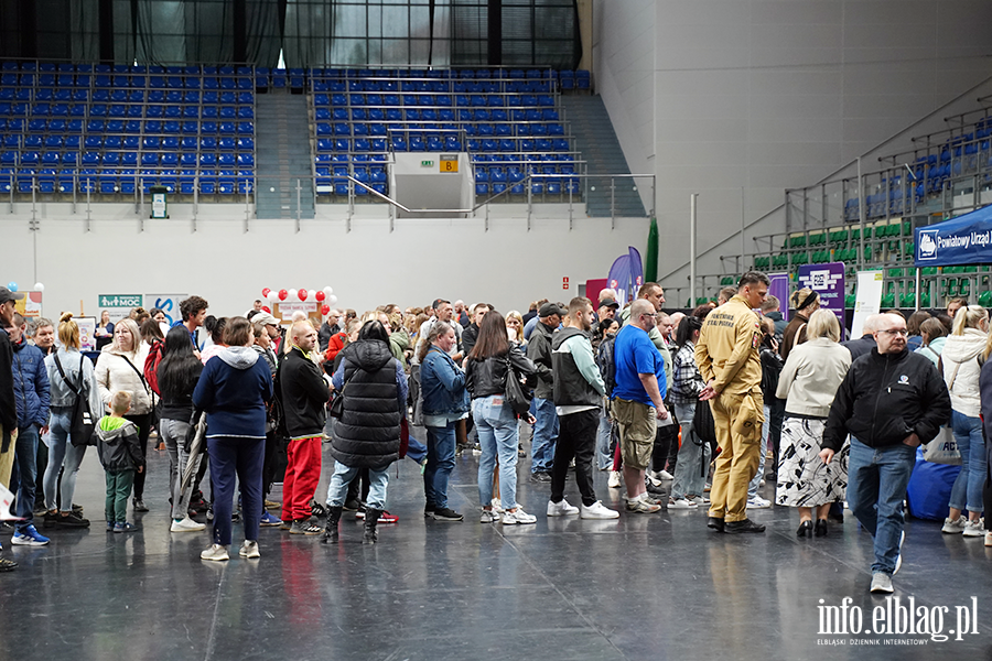 Elbl�skie Targi Pracy, fot. 15
