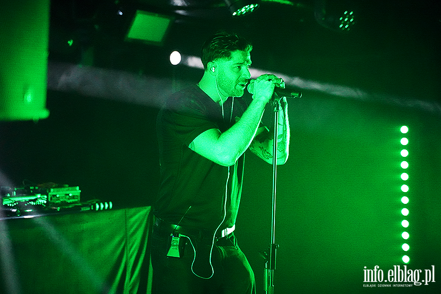 koncert molesta, fot. 3