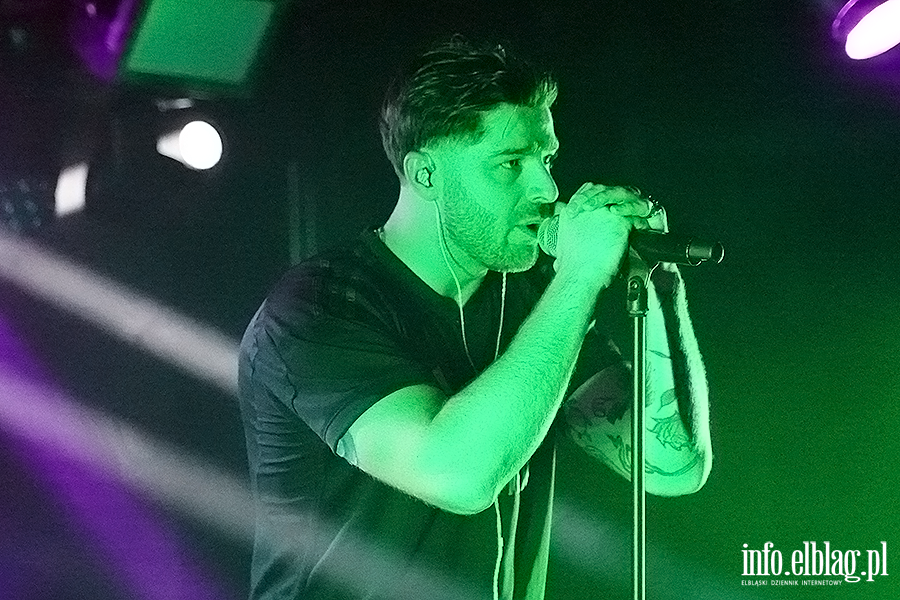 koncert molesta, fot. 4