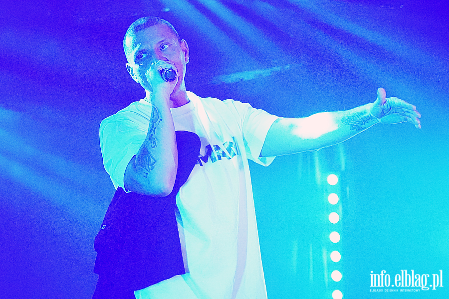 koncert molesta, fot. 16