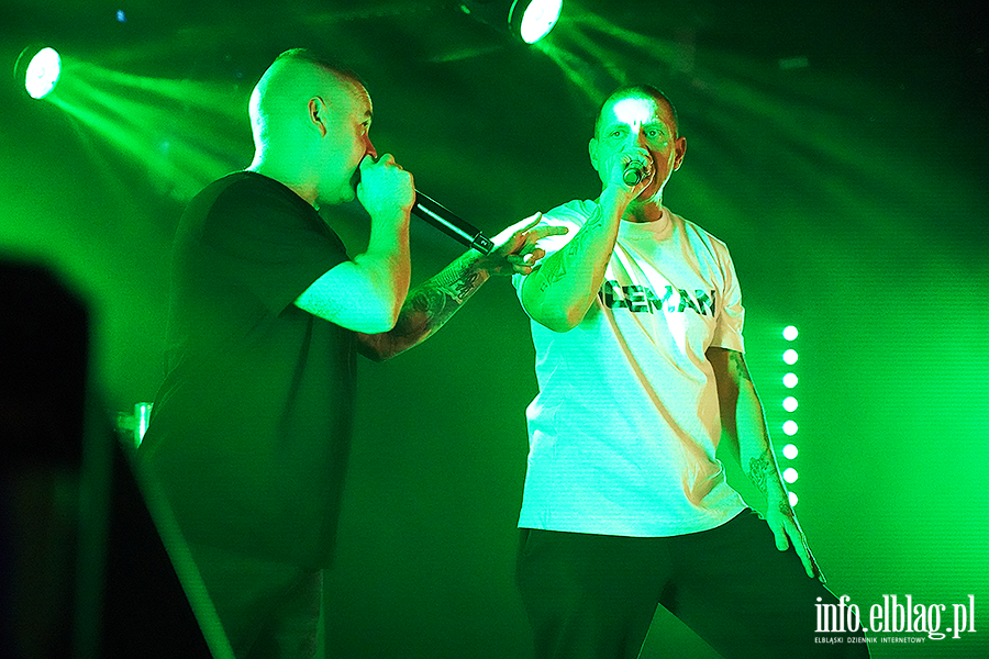 koncert molesta, fot. 20