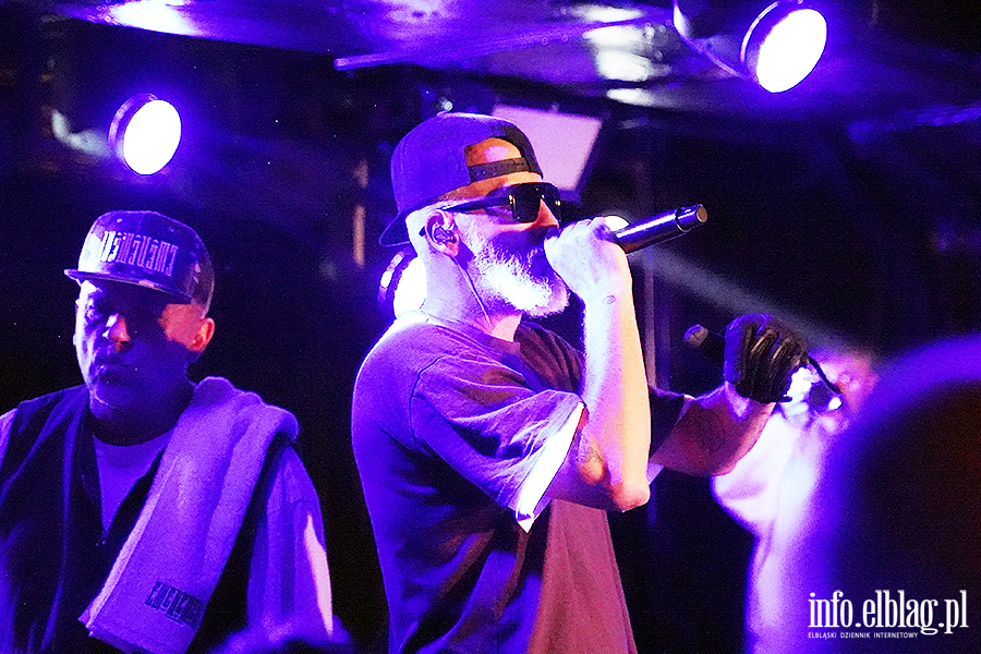 koncert molesta, fot. 27